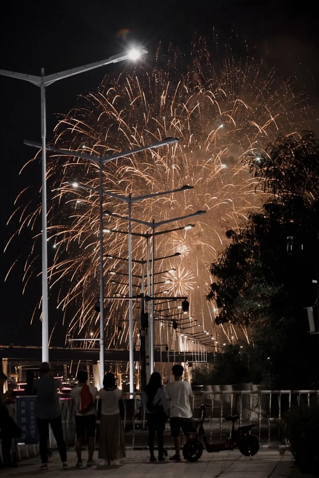 1732179626588659.jpg 63.jpg