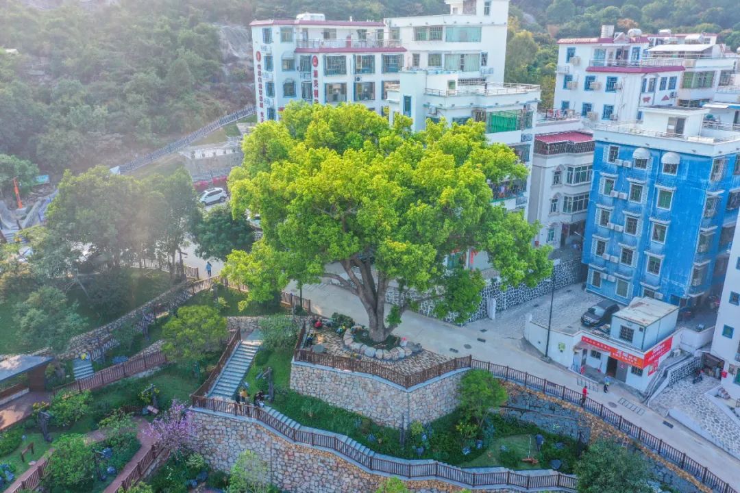 1735803554438913.jpg 1.jpg