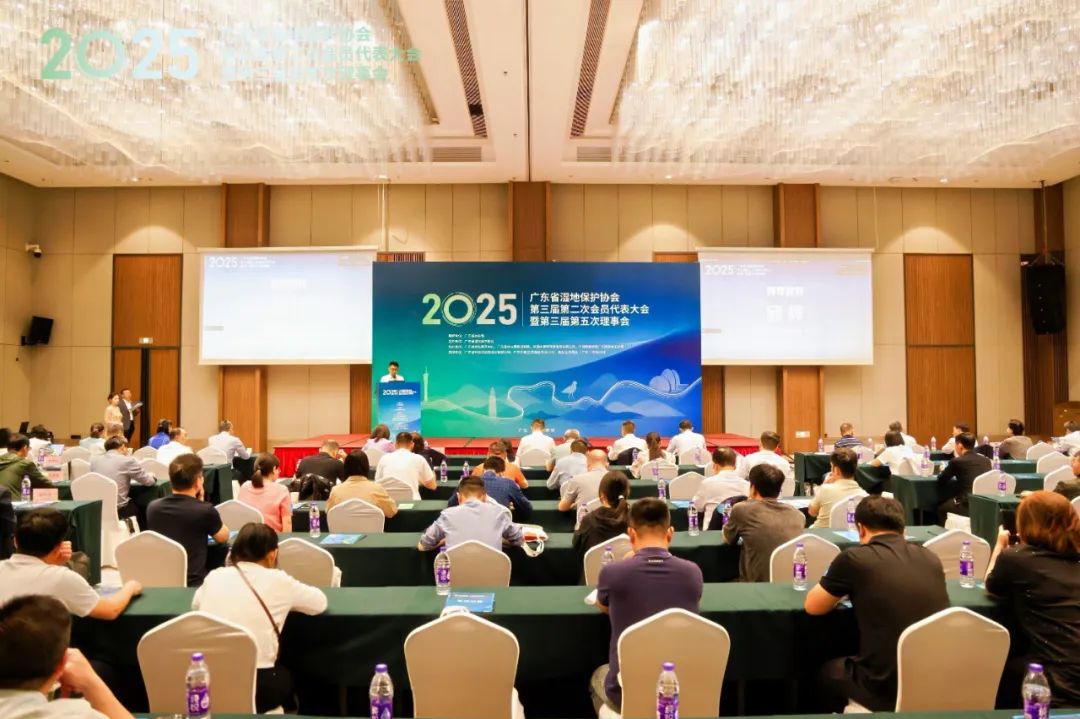 1747194089150602.jpg 1.jpg